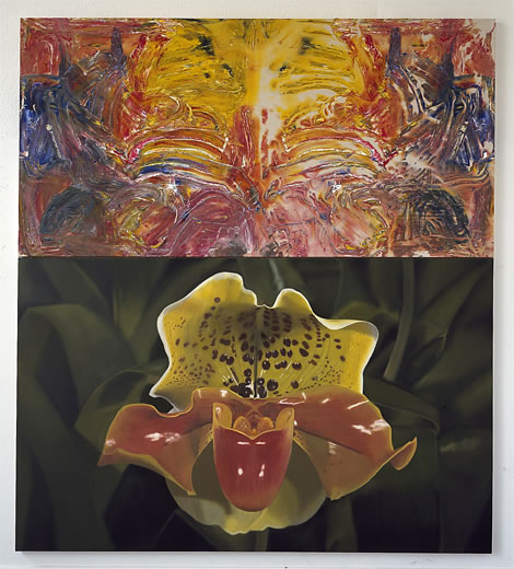 Orchid (Paphiopedilum)